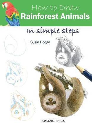 How to Draw: Rainforest Animals