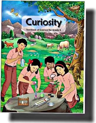 Ncert Class 8 Curiosity