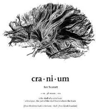 Cranium