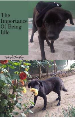 The Importance of Being Idle