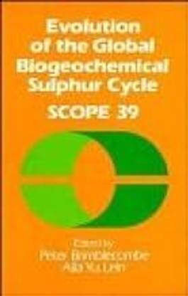 Evolution of the Global Biogeochemical Sulphur Cycle