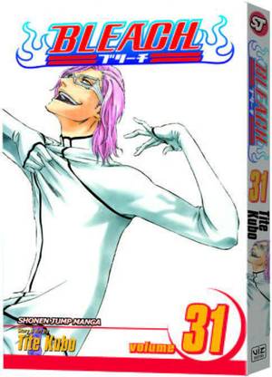 Bleach, Vol. 31