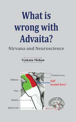 What Is Wrong with Advaita?