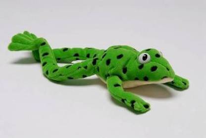 Read Write Inc. Phonics: Fred Frog Beanie