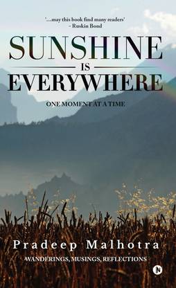 Sunshine is Everywhere : One Moment at a Time