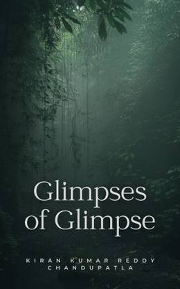 Glimpses of Glimpse