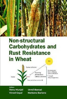 Non-Structural Carbohydrates and Rust Resistance in Wheat