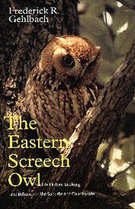 The Eastern Screech Owl