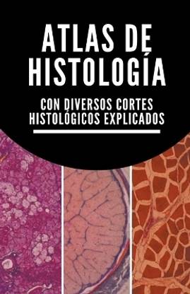 Atlas de histologia