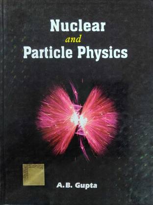 Nuclear and particle physics
