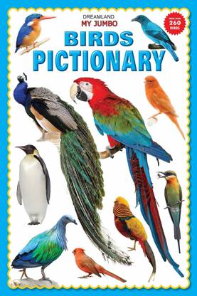 My Jumbo Birds Pictionary  - A3 Size Picture Book for Kids Age 3-5 | Learn Bird Names with Colourful Illustrations & Big Alphabetically Arranged Images