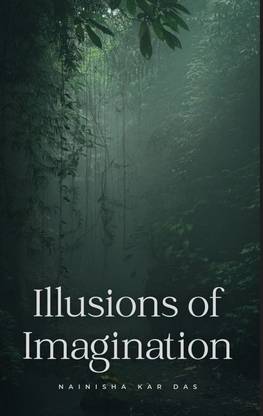 Illusions of Imagination