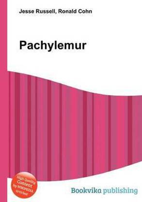 Pachylemur