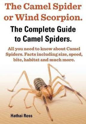 The Camel Spider or Wind Scorpion, The Complete Guide to Camel Spiders.: With All You Need to Know About Camel Spiders