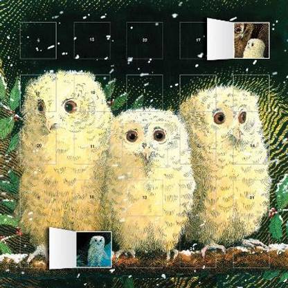 Owl Babies advent calendar (with stickers)