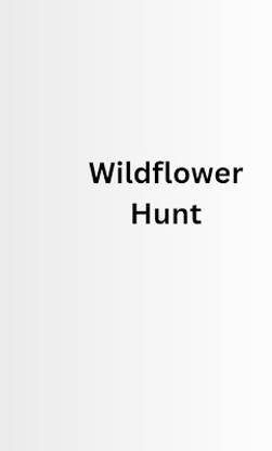 Wildflower Hunt