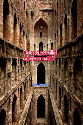 Does a parallel universe exist ?