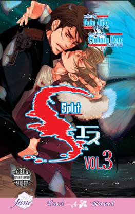 S Volume 3: Split (Yaoi Novel)