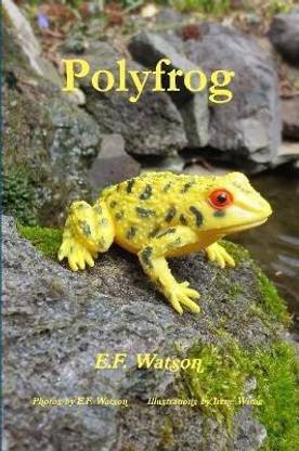 Polyfrog
