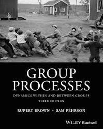 Group Processes - Dynamics within and Between Groups, Third Edition