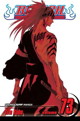 Bleach, Vol. 73: Volume 73