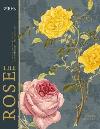 RHS The Rose