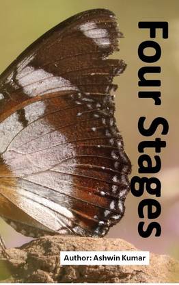 Four stages of self-transformation  - Four stages