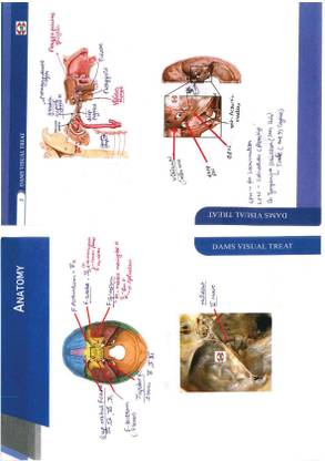 DAMS DVT ANNOTED (FILLED)-NEETPG Ka First AID 2023-2024 (SPIRAL-BINDING) FULLY COLOUR (sprial, dams) (dams, dams)