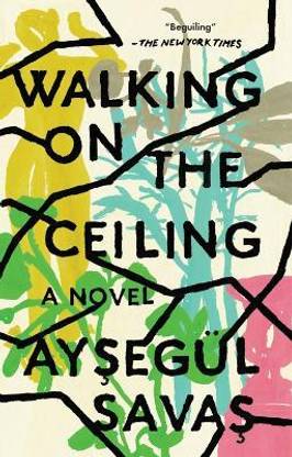 Walking on the Ceiling