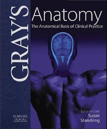 Grays Anatomy The Anatomical Basis of Clinical Practice