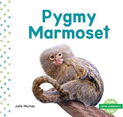 Pygmy Marmoset