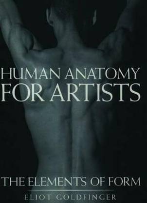 Human Anatomy for Artists 1st  Edition