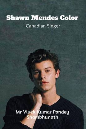 Shawn Mendes Color