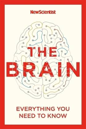 The Brain