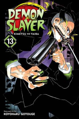 Demon Slayer: Kimetsu no Yaiba, Vol. 13  - Demon slayer vol 1