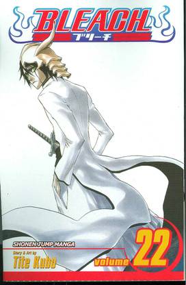 Bleach, Vol. 22