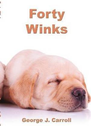 Forty Winks