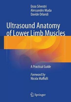 Ultrasound Anatomy of Lower Limb Muscles; A Practical Guide