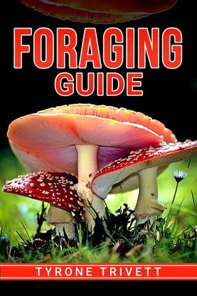 FORAGING GUIDE