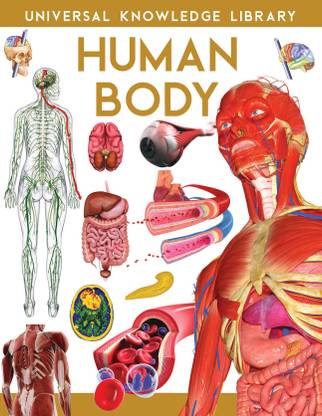 Universal Knowledge Library: Human Body (English)