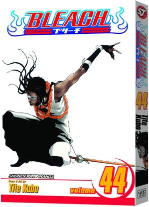 Bleach, Vol. 44: Volume 44