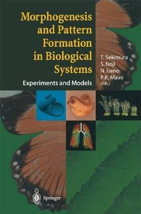 Morphogenesis and Pattern Formation in Biological Systems