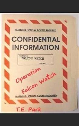 Operation Falcon Watch