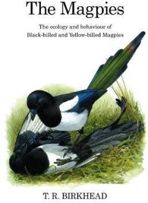 The Magpies: The Ecology and Behaviour of Black-Billed and Yellow-Billed Magpies
