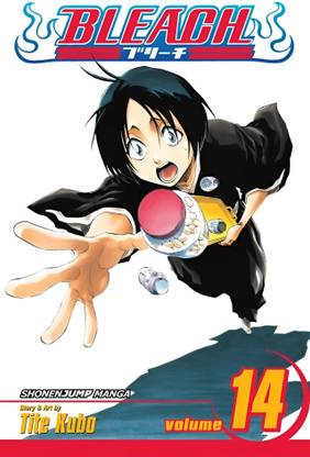 Bleach, Vol. 14: Volume 14  - White Tower Rocks