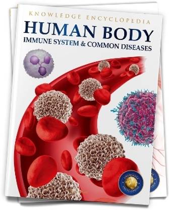 Human Body  - By Miss & Chief