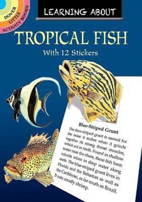 Learning About Tropical Fish