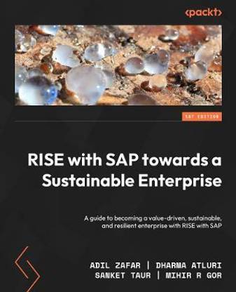 RISE with SAP towards a Sustainable Enterprise
