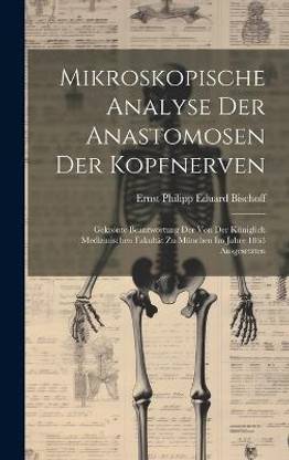 Mikroskopische Analyse Der Anastomosen Der Kopfnerven