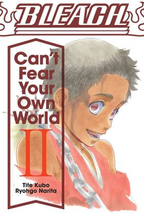 Bleach: Can't Fear Your Own World, Vol. 2: Volume 2